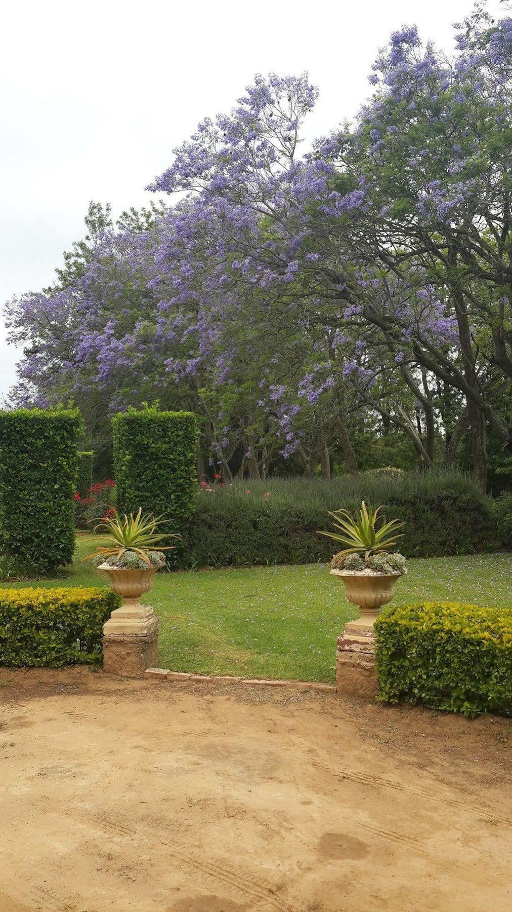 Hopefield Country House Addo Zewnętrze zdjęcie